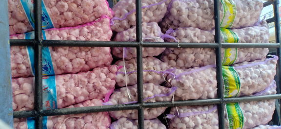 bawang putih