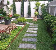 taman hias
