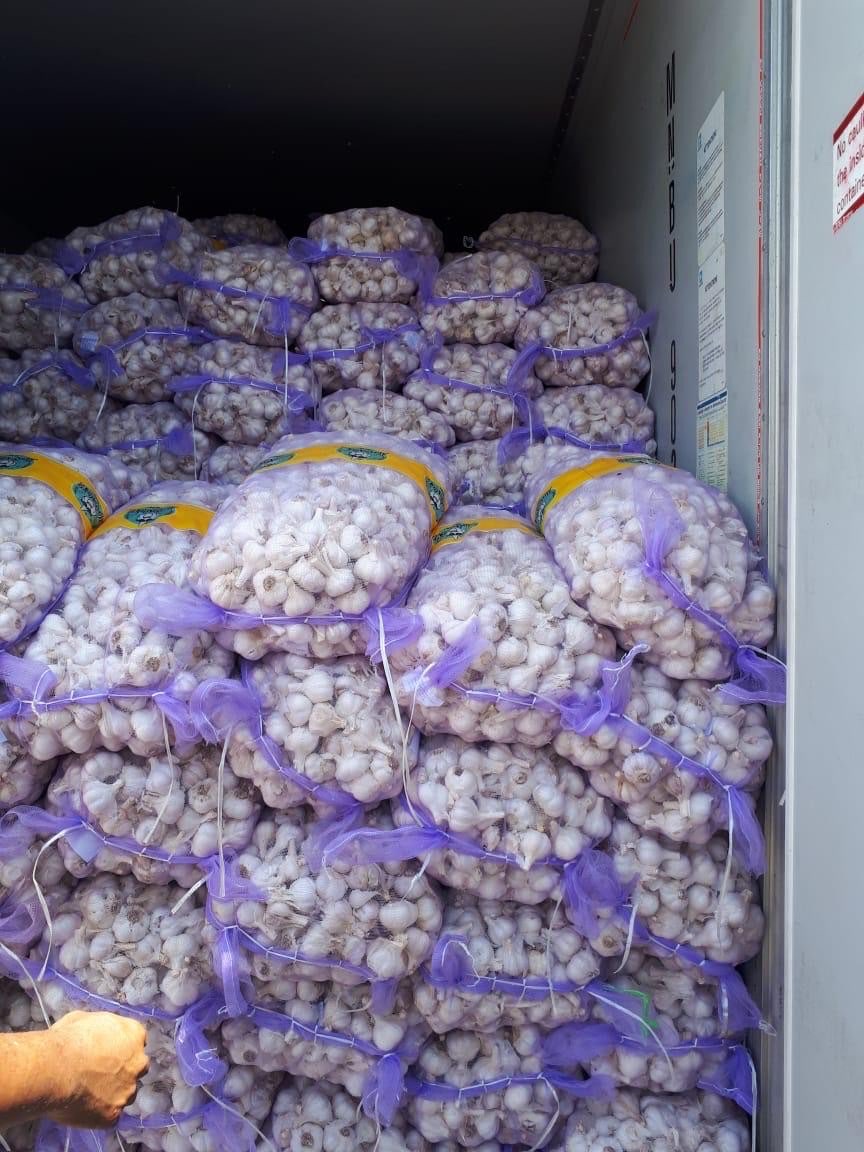 Bawang putih import  kating