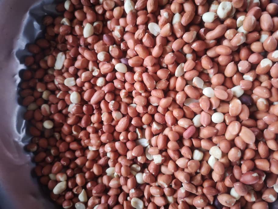 Kacang Tanah Sudan