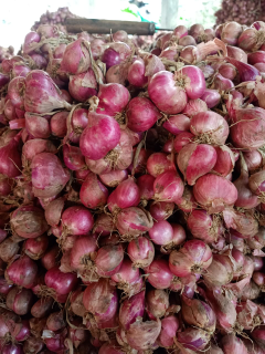 Bawang Merah