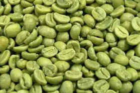 Biji kopi hijau