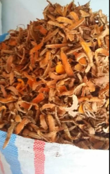 Jual Kunyit Kering