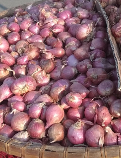 Bawang Merah