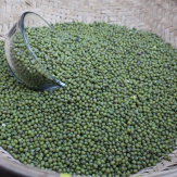 Kacang Hijau Afrika