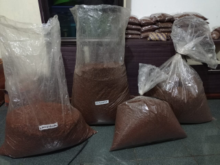 cengkih bumbu rokok