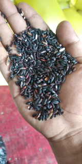 beras ketan hitam kualitas premium A&B