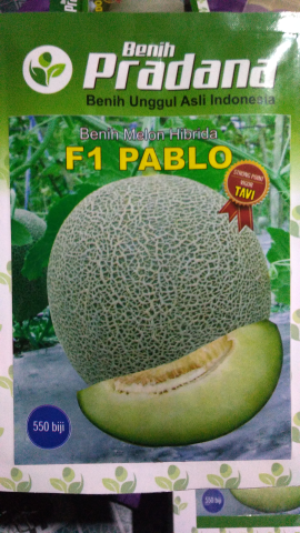 benih melon