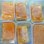 Madu Ternak Melifera