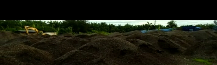 cangkang sawit bengkulu
