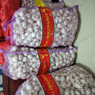 bawang putih bawang bombay
