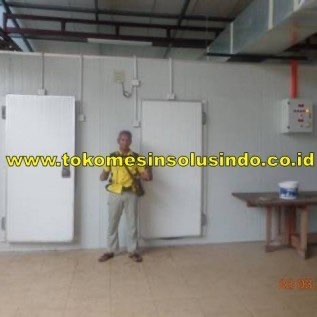 Cold Room Ruang Pendingin Khusus Es Batu dan Produk Makanan
