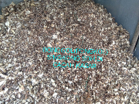 Jual Bonggol ( pongkol ) Limbah Singkong untuk Bahan Baku Tepung Pakan Ternak