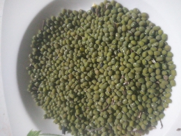 kacang hijau