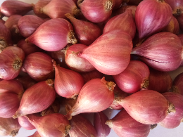 Bawang Merah Brebes