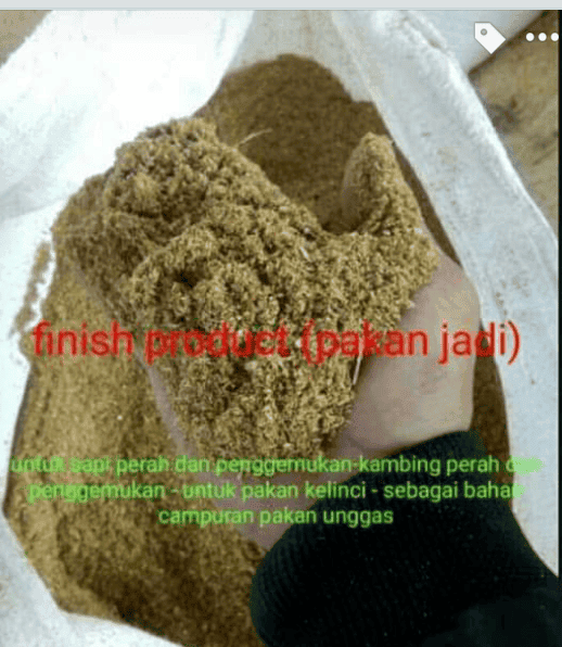 Koonsentrat Sapi perah dan penggemukan