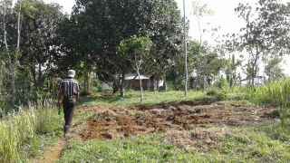 0Disewakan Tanah Luas 10Ha dan 3,4Ha