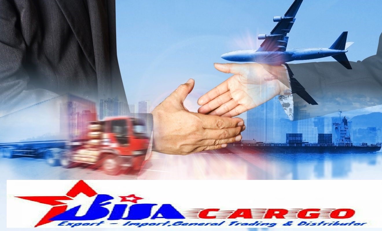 Jasa Import Kandang Ayam elektrik
