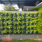 Wall Planter atau Polybag dinding 15 kantong