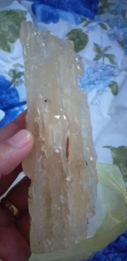 damar kopal maluku