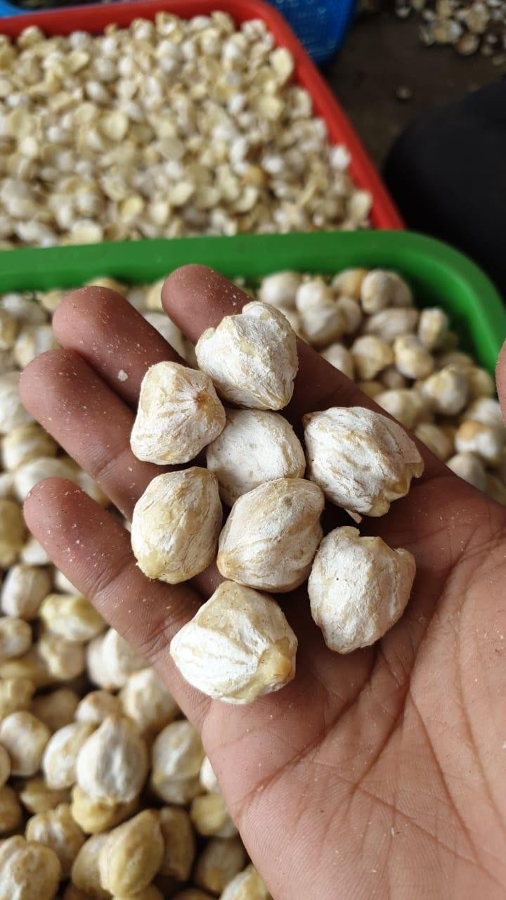 Kemiri Bulat kupas 