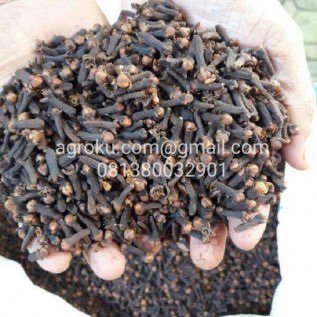 JUAL CENGKEH KERING BERKUALITAS (PARTAI BESAR)