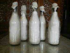 Bibit F2 Jamur Tiram Putih