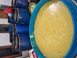 madu murni