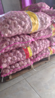 Bawang Putih Honan