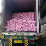 bawang putih import china