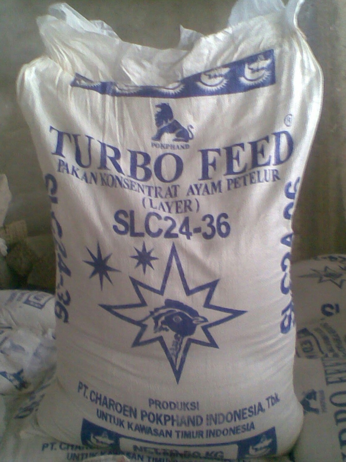 Pakan Ayam Petelur