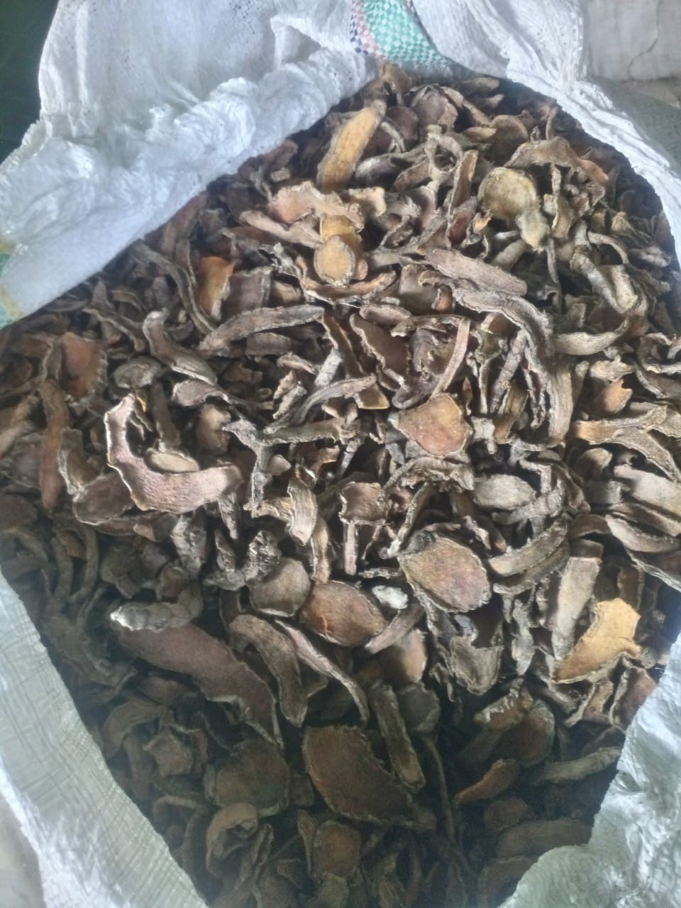 jual kunir kering