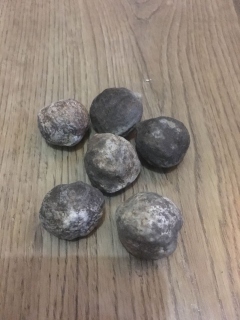 Kemiri Sulawesi Kupas & Gelodongan