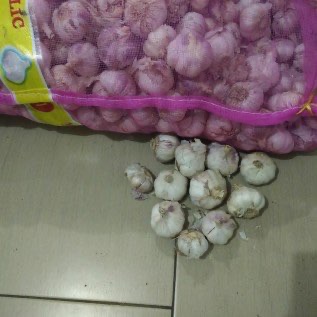Jual bawang putih 
