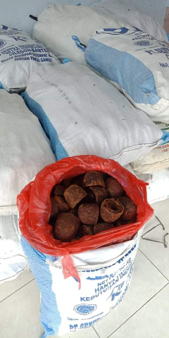 gula aren