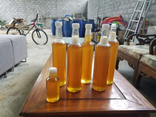 Jual Madu Murni
