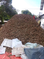 hasil bumi