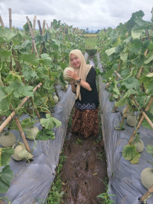 Buah Melon Action