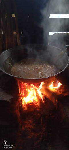 gula aren asli