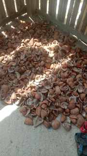 Kopra Asalan