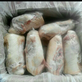 jual bebek potong
