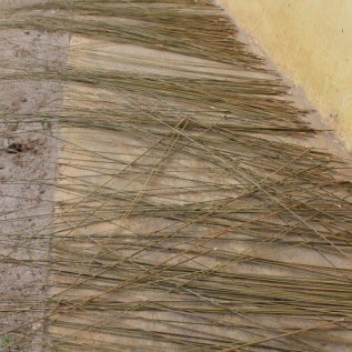 LIDI SAWIT