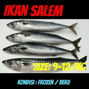 JUAL IKAN SALEM IQF (JABODETABEK)