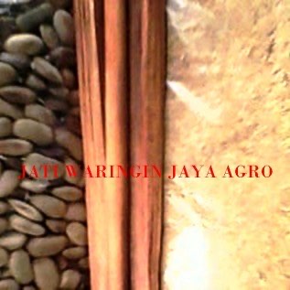 Jual BIJI/BENIH SECANG,SERBUK SECANG/SAPPANWOOD