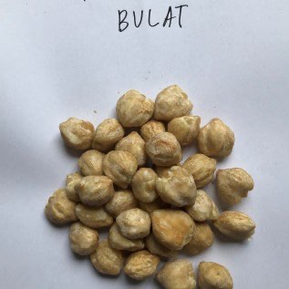 jual kemiri