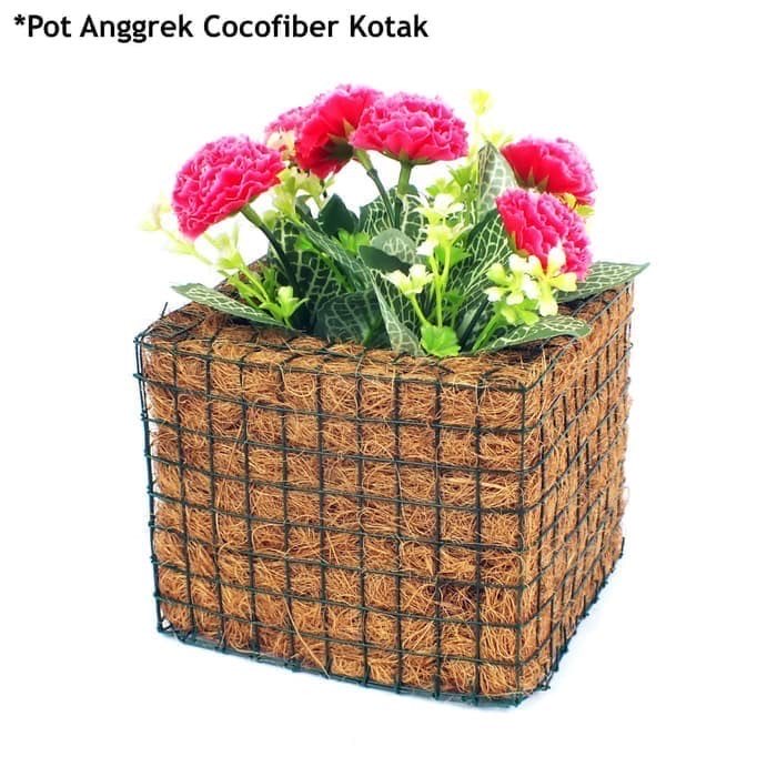 Pot Anggrek Kotak Cocofiber