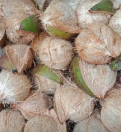 menjual berbagai sayuran
