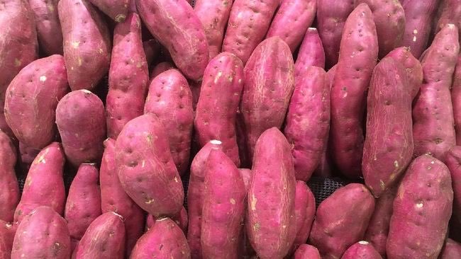 jual ubi jalar ungu, ubi jalar jingga, dan ubi jalar putih