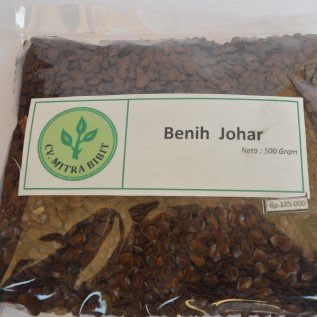 Biji/Benih Johar super berkualitas 