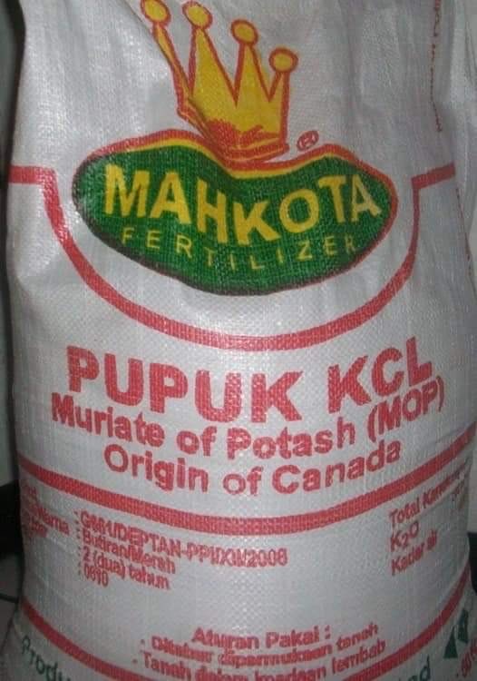 Pupuk NPK & KCL